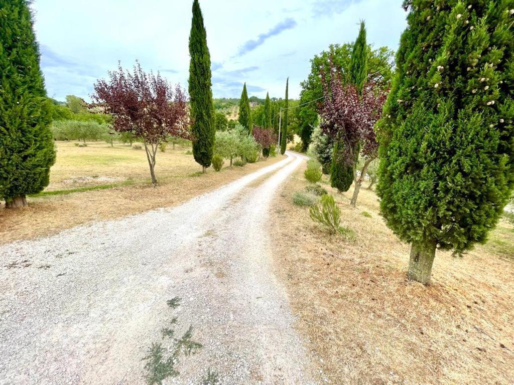 Umbrian Hills Flat - Free Parking & Garden Apartment Perugia Ngoại thất bức ảnh